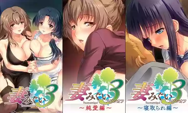 【精翻/ADV】妻中蜜3+DLC+存档【PC/MP4】